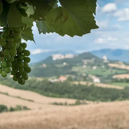 Borgo Bianchini تودي