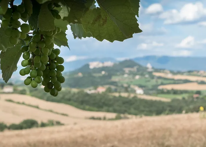 Borgo Bianchini Todi